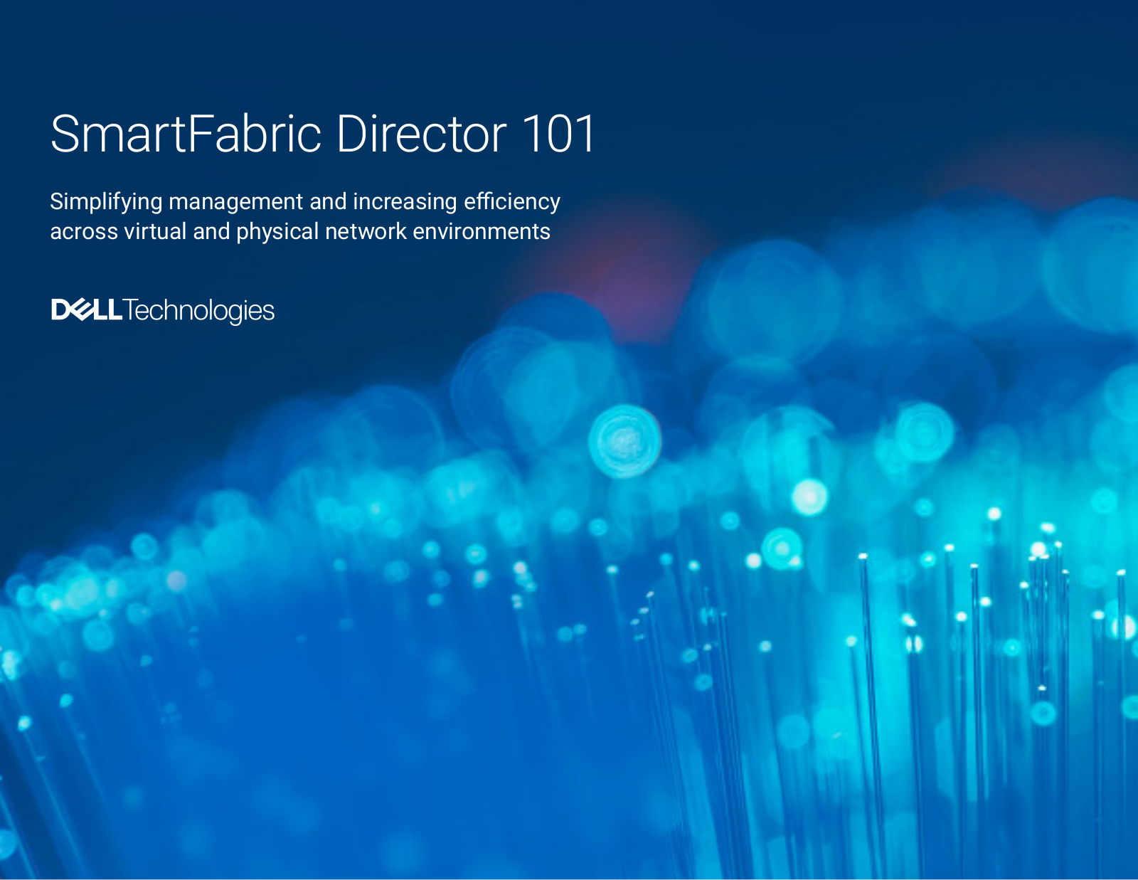 Dell SmartFabric Director 101 User Manual