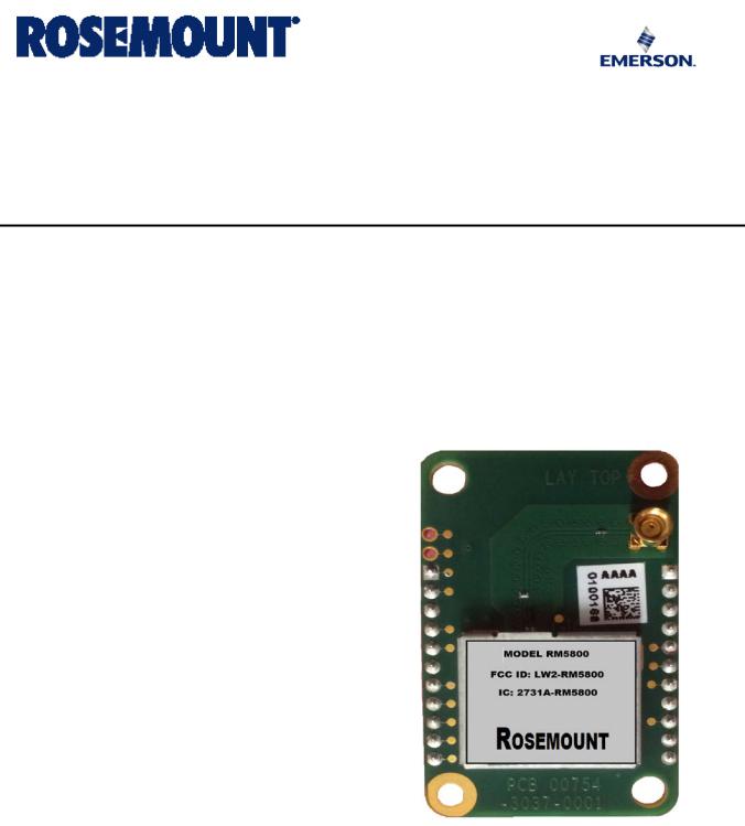 Rosemount RM5800 User Manual