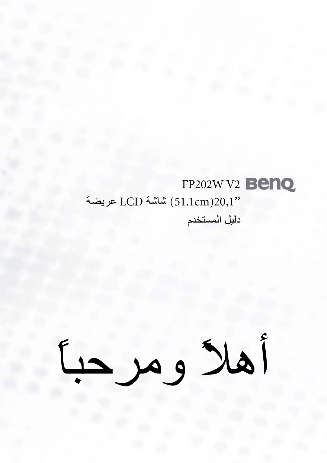 Benq FP202W V2 User Manual