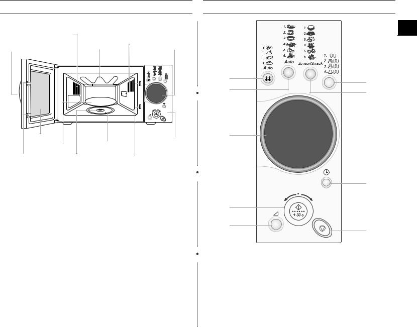 Samsung CE2975NT User Manual