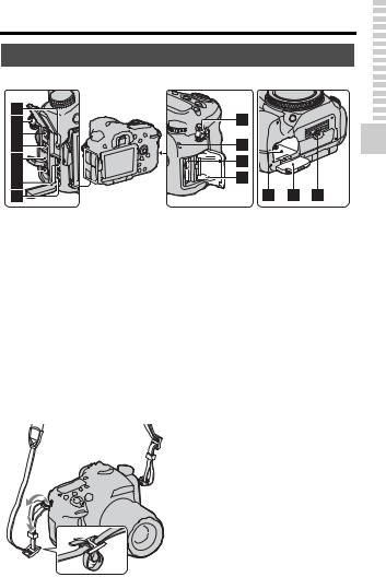 Sony SLT-A77V User Manual