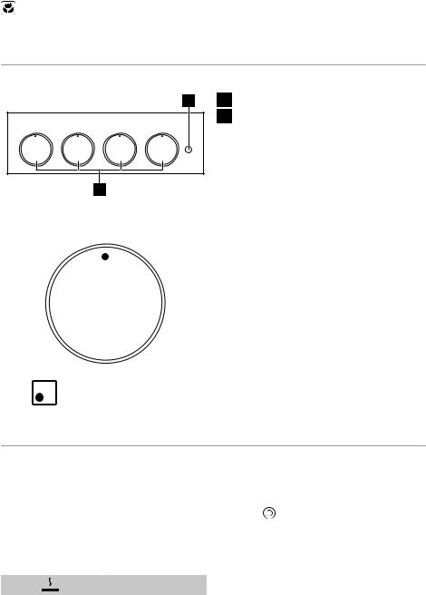 Electrolux ERGL4ESP User Manual