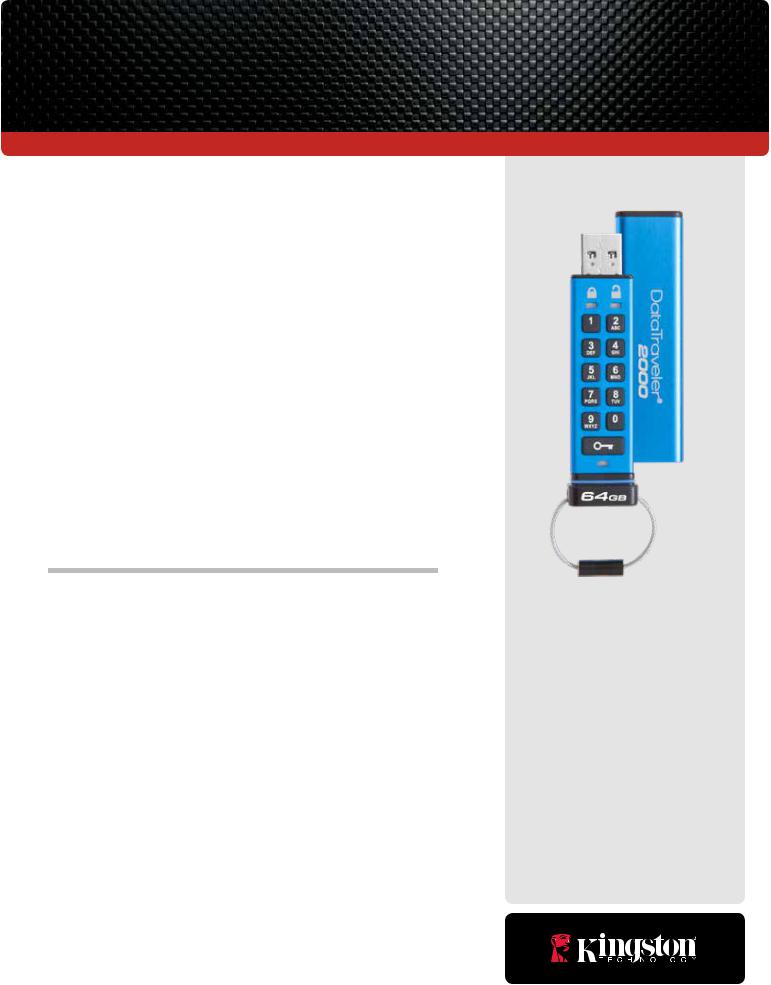 Kingston DT2000-16GB User Manual