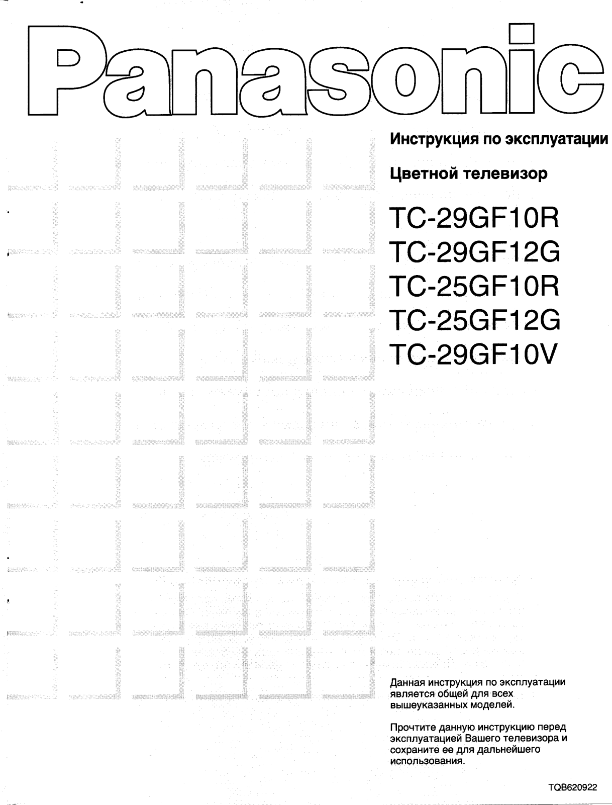 PANASONIC TC-29GF10R, TC-29GF10V, TC-29GF12G User Manual