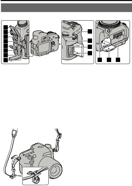 Sony SLT-A77V User Manual