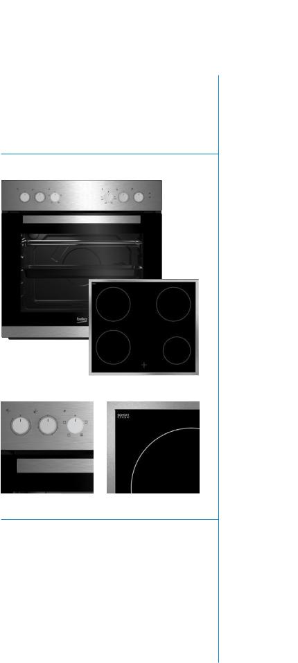 Beko BUC22021X Datasheet