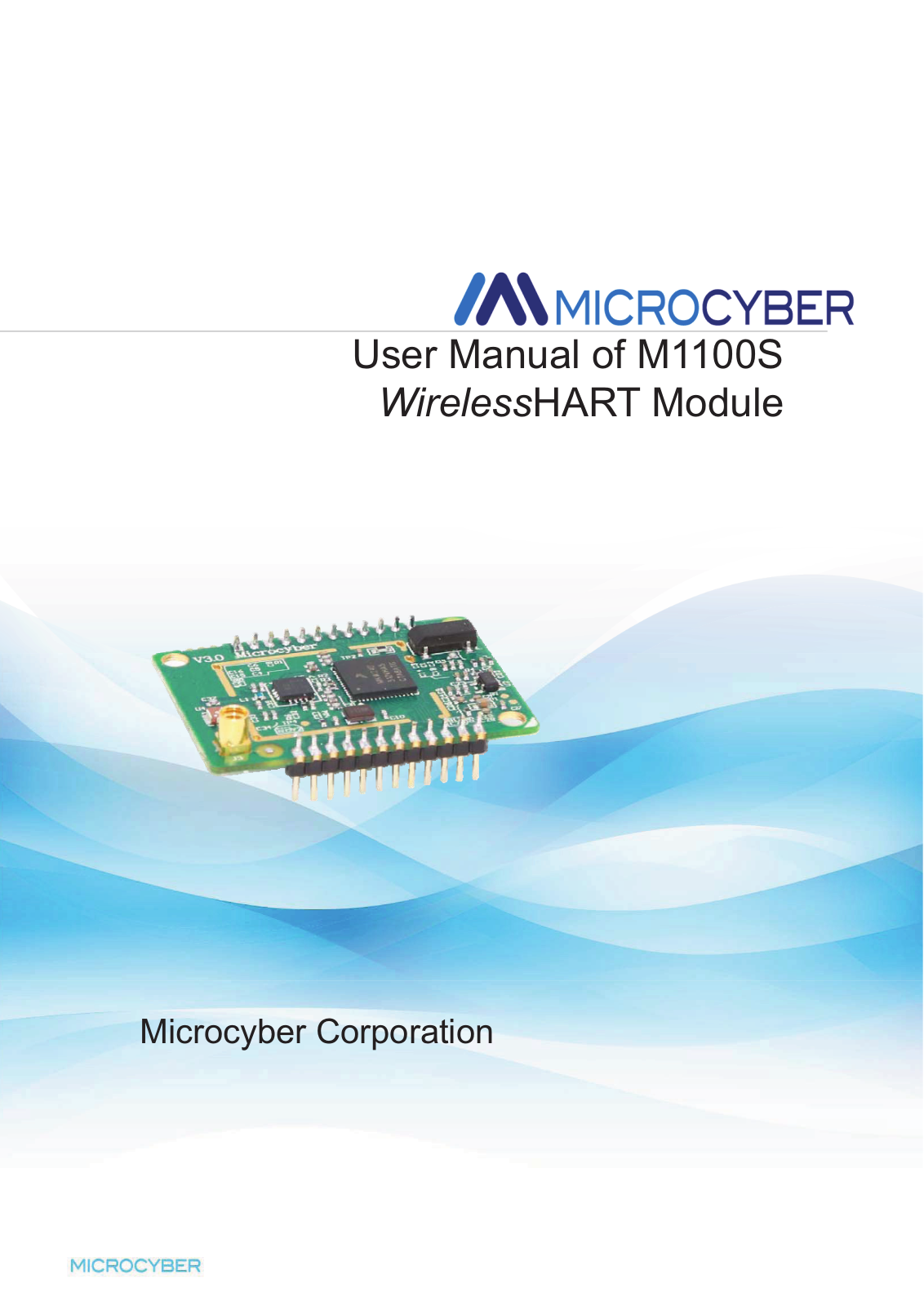 Microcyber M1100S User Manual