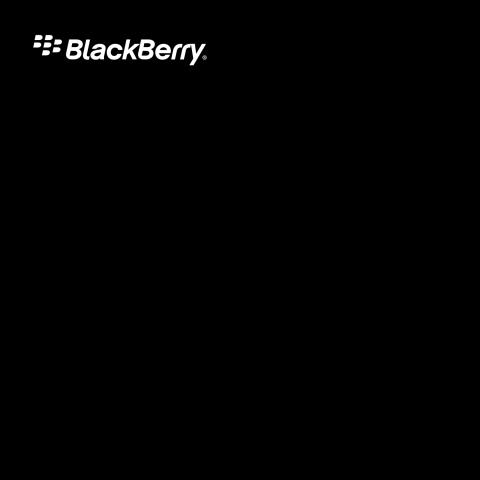BlackBerry REF30LW, REG50LW User Manual