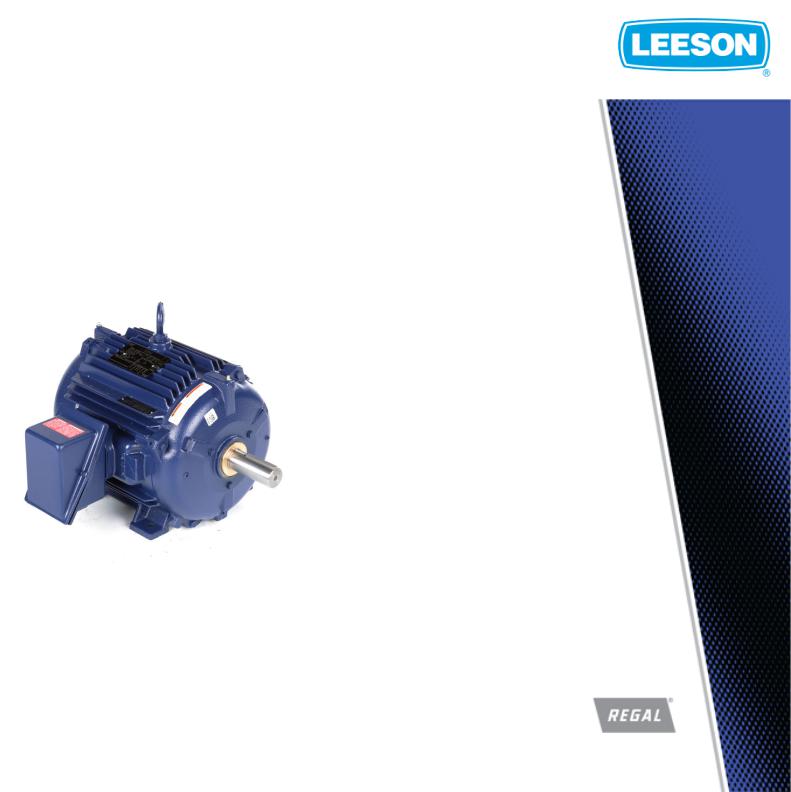 Leeson 824579.00 Product Information Packet