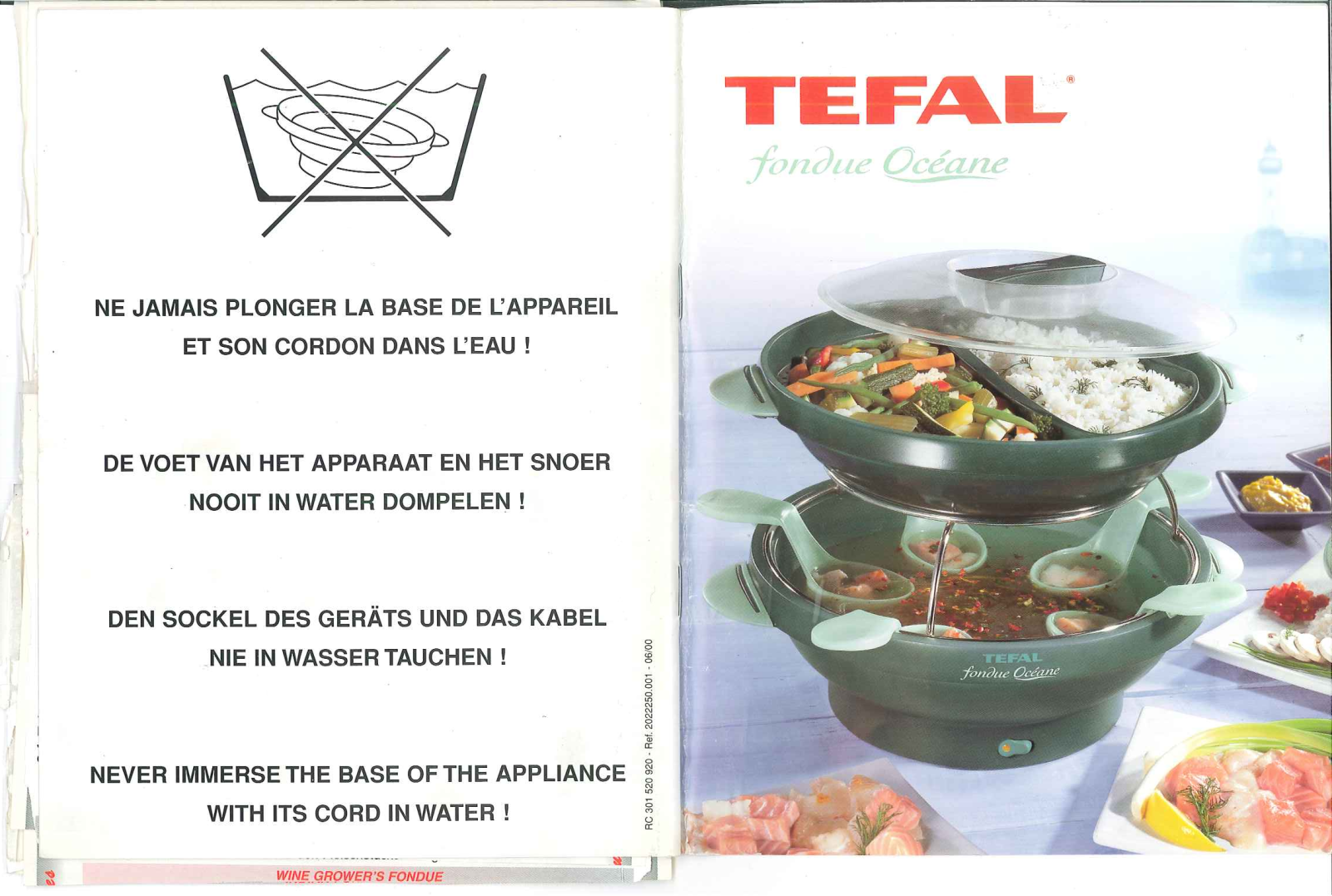 Tefal FONDUE OCEANE User Manual