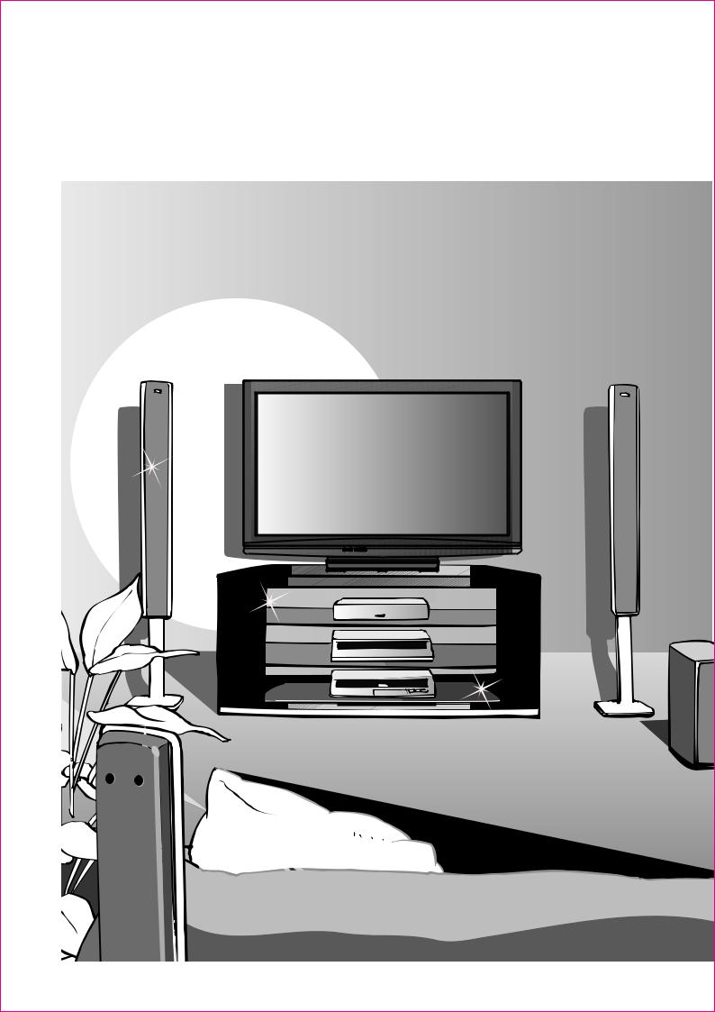 Panasonic TH-P42X10C, TH-P50X10C User Manual