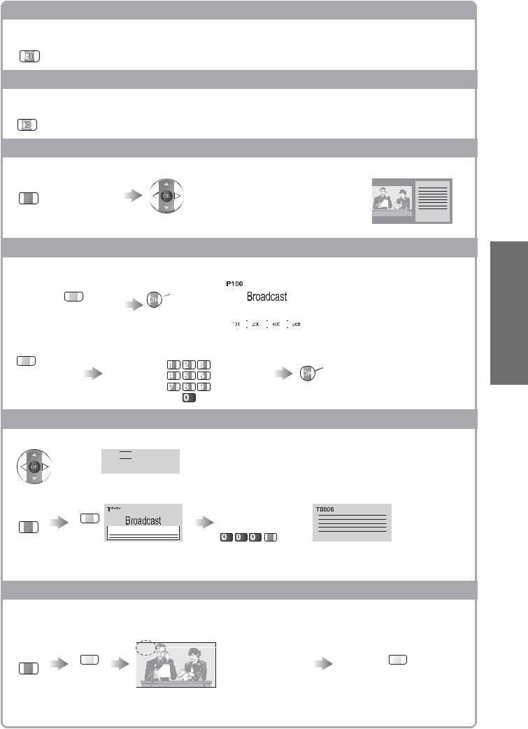 Panasonic TX-L22X20E User Manual