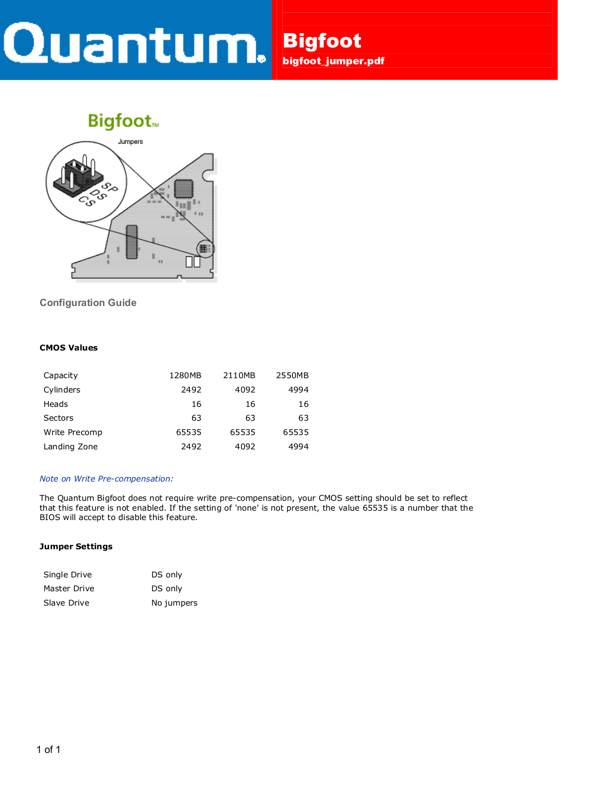 Quantum BIGFOOT DATASHEET