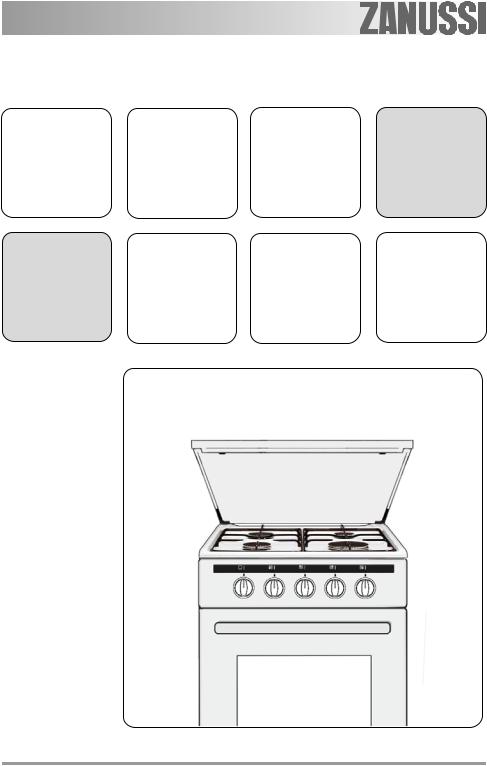 Zanussi ZCG55SGW User Manual