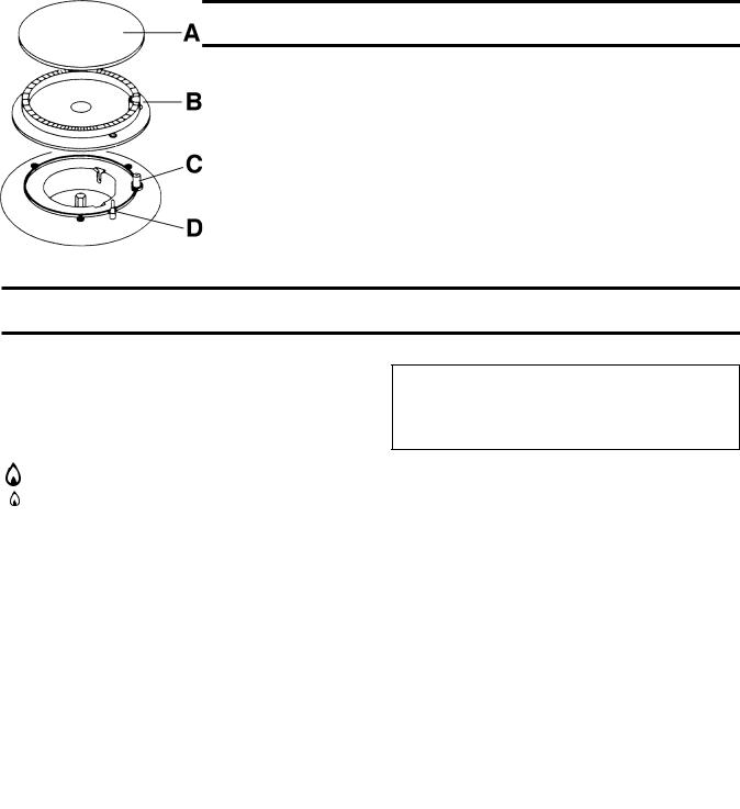 Zanussi ZGG646ICA User Manual