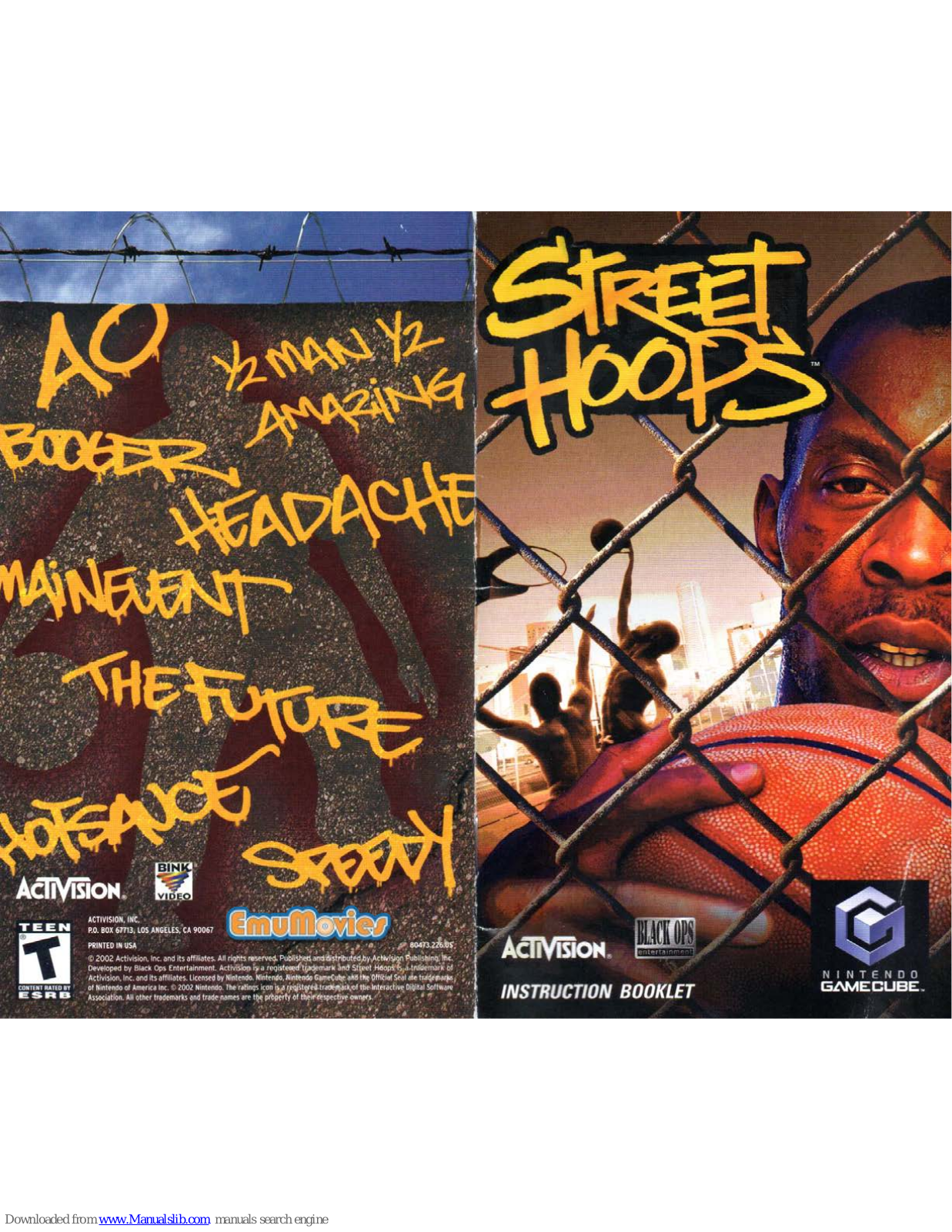 Nintendo Street hoops Instruction Booklet