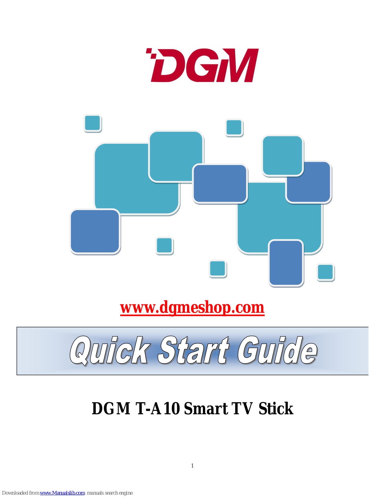 DGM T-A10 Quick Start Manual - ManualMachine.com