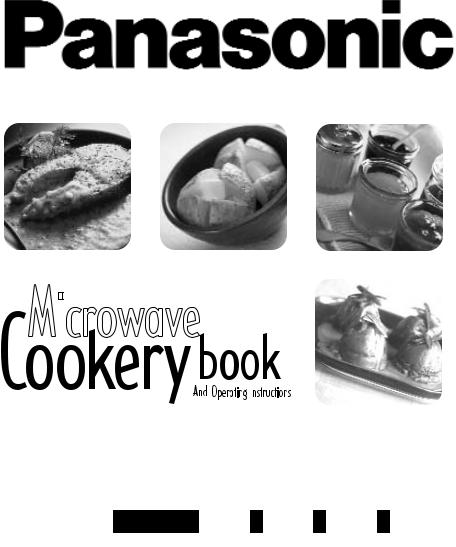 PANASONIC NNE255 User Manual