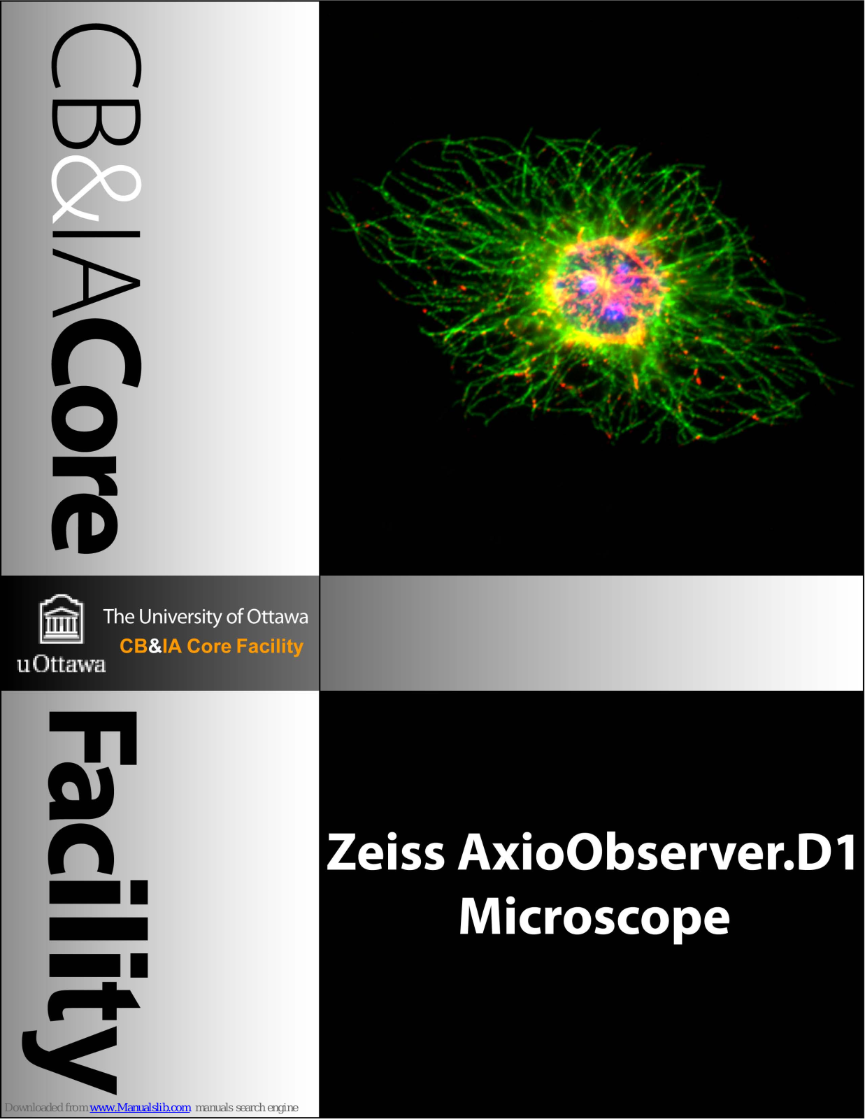 Zeiss AxioObserver.D1 User Manual - ManualMachine.com