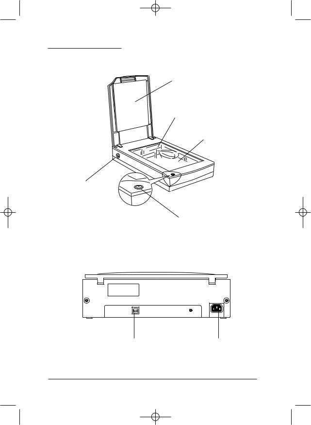 Epson PERFECTION 610 Installation and user Manual