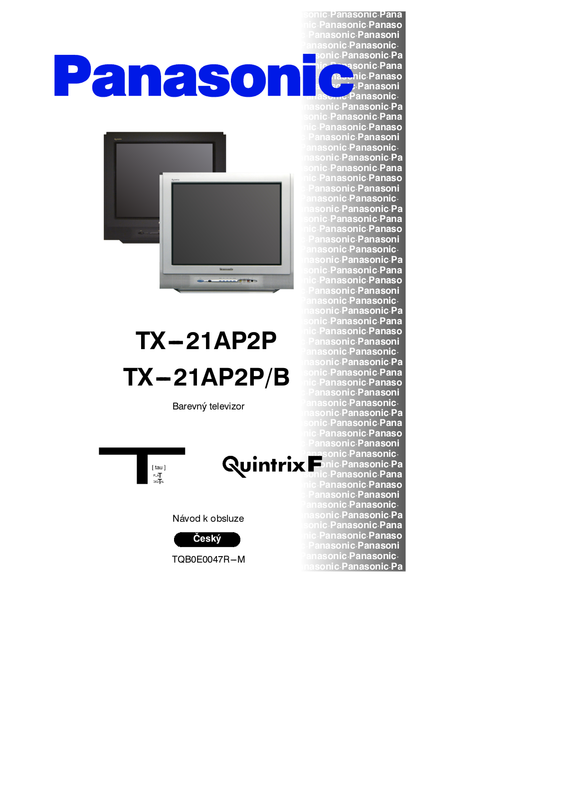 PANASONIC TX-21AP2PB, TX-21AP2P User Manual