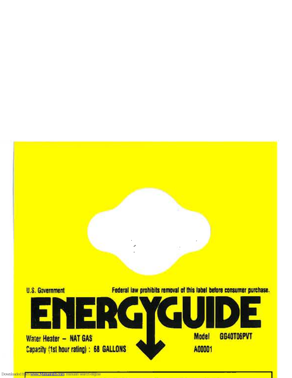 GE GG40T06PVT Energy Manual