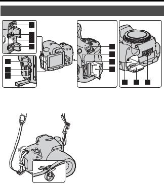 Sony SLT-A57 User Manual