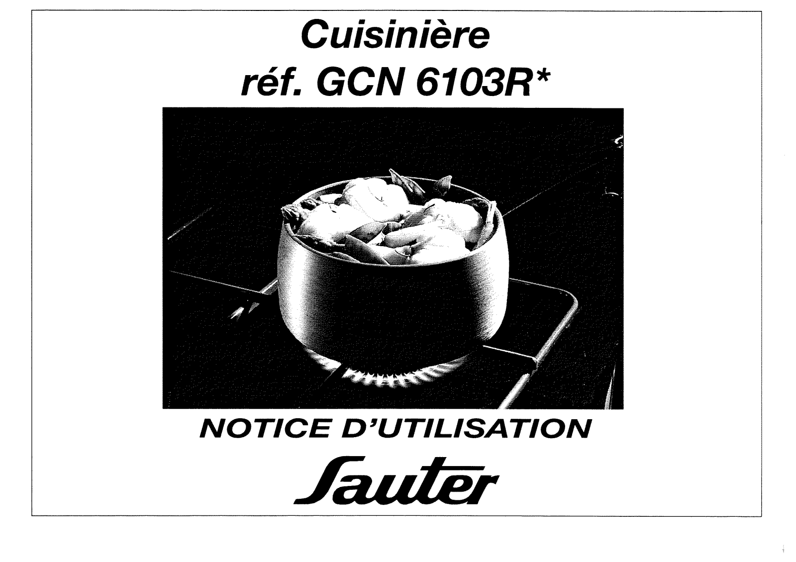 Sauter GCN6103BR, GCN6103R User Manual