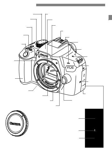 Canon EOS Rebel T6 Instruction Manual