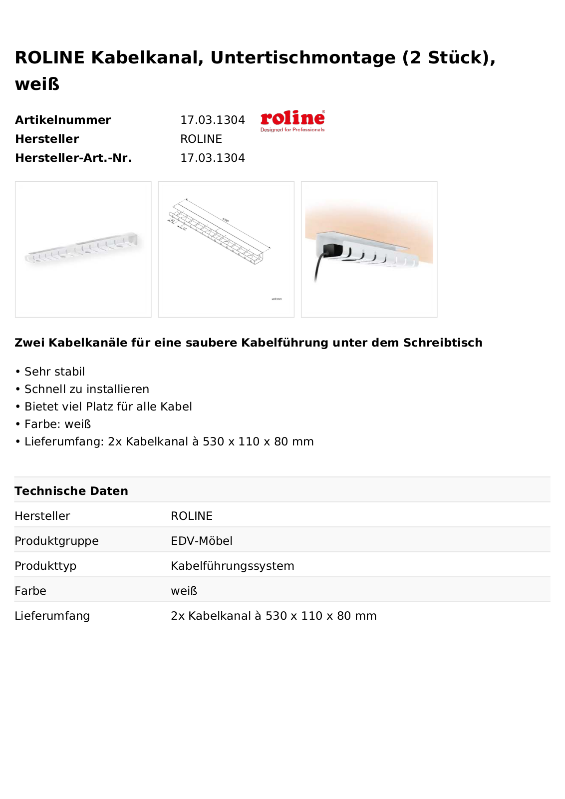 ROLINE 17031304 Datasheet - ManualMachine.com