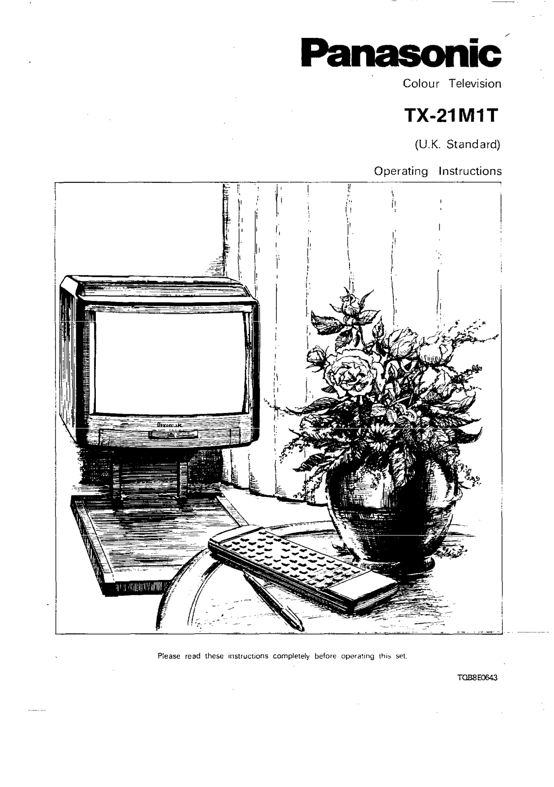 Panasonic TX-21M1T User Manual