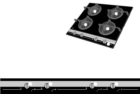 AEG FM6300GAN User Manual