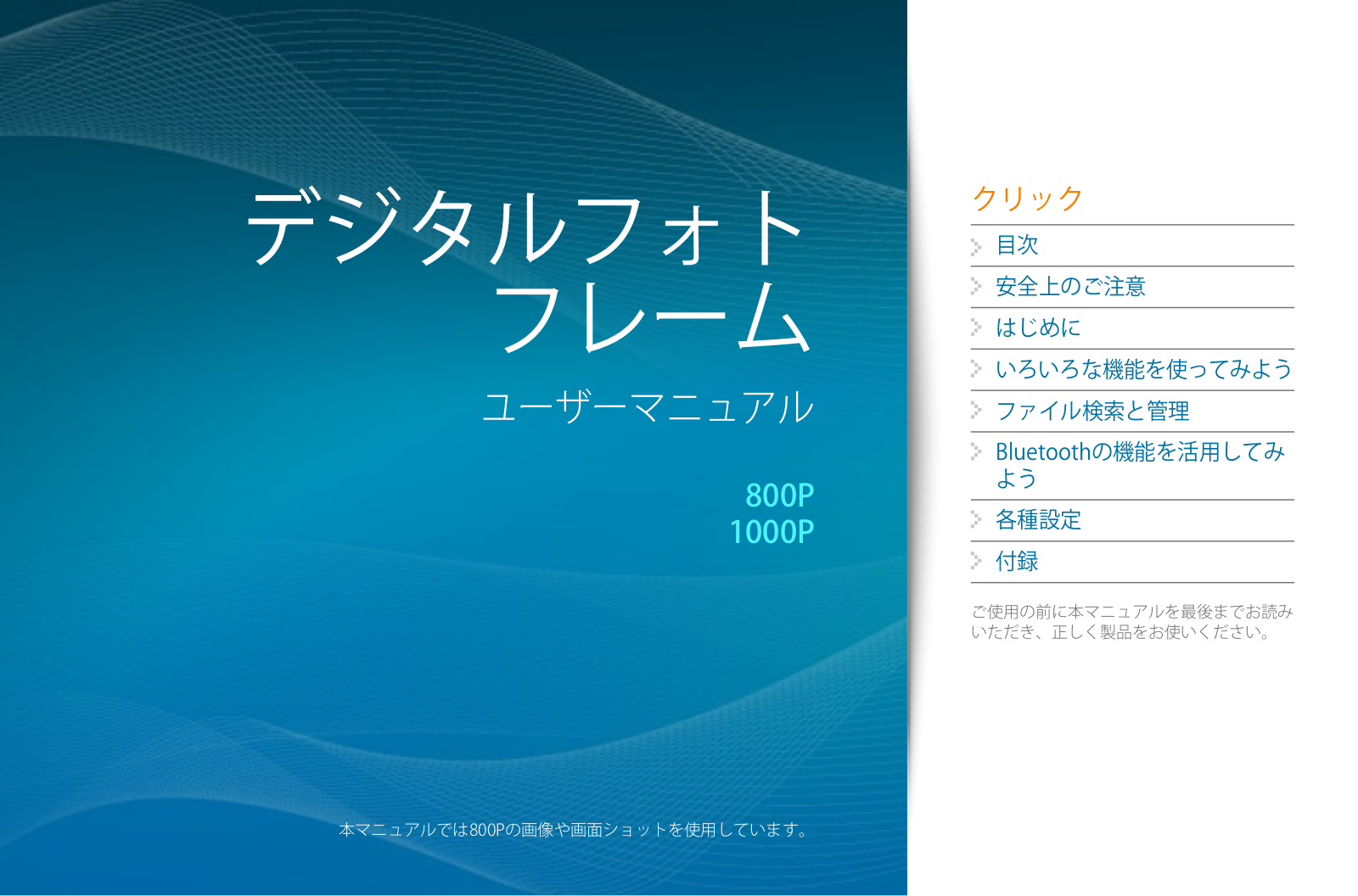 Samsung 1000P, 800P User Manual