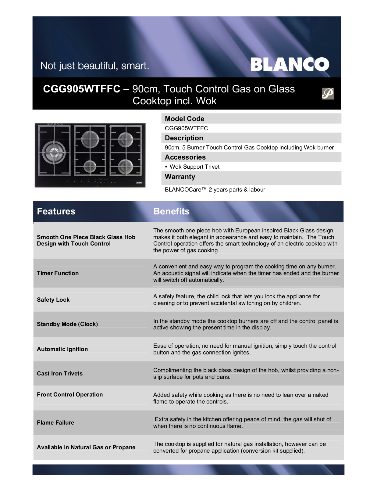 Blanco CGG905WTFFC Data Sheet & Specifications