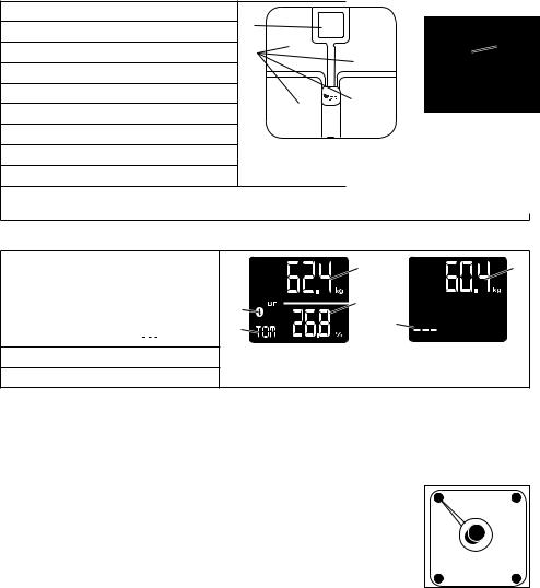 Beurer BF 800 User guide