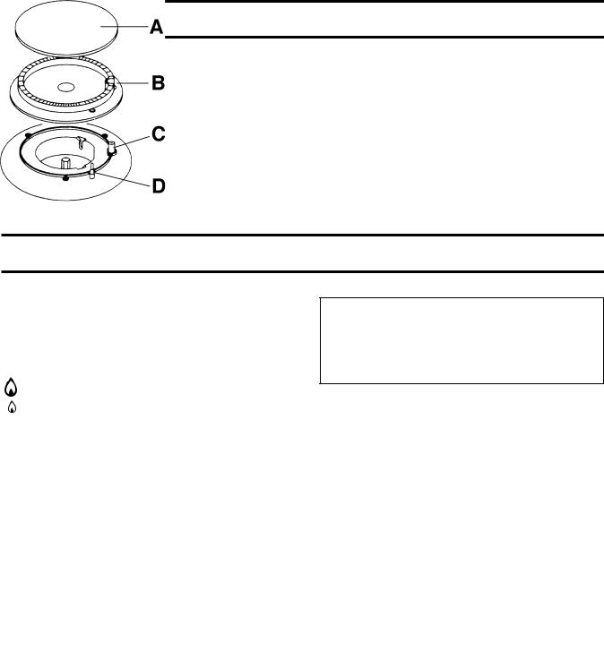 Zanussi ZGF993 INSTRUCTION BOOKLET