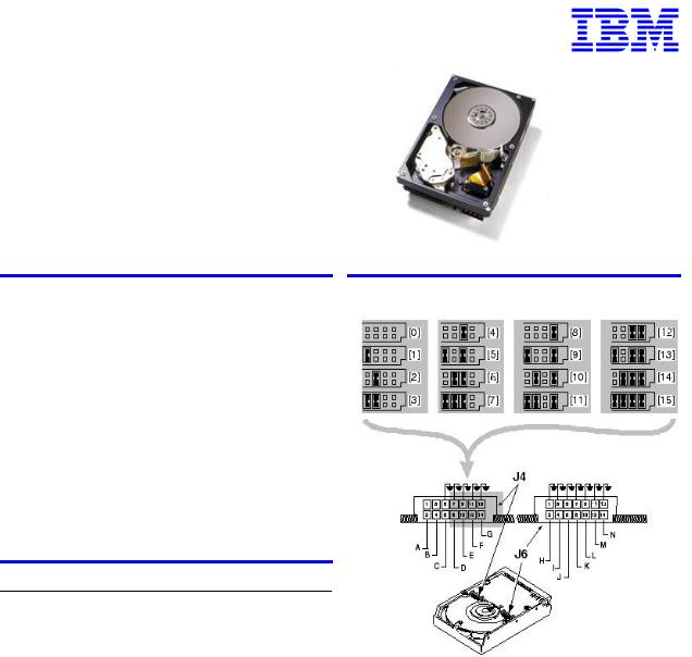 IBM IC35L036UWPR15, IC35L036UCPR15, IC35L018UWPR15, IC35L018UCPR15 Quick Installation Guide