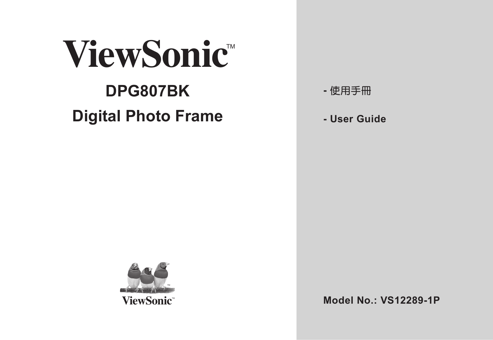 ViewSonic DPG807BK-51P User Guide P Region