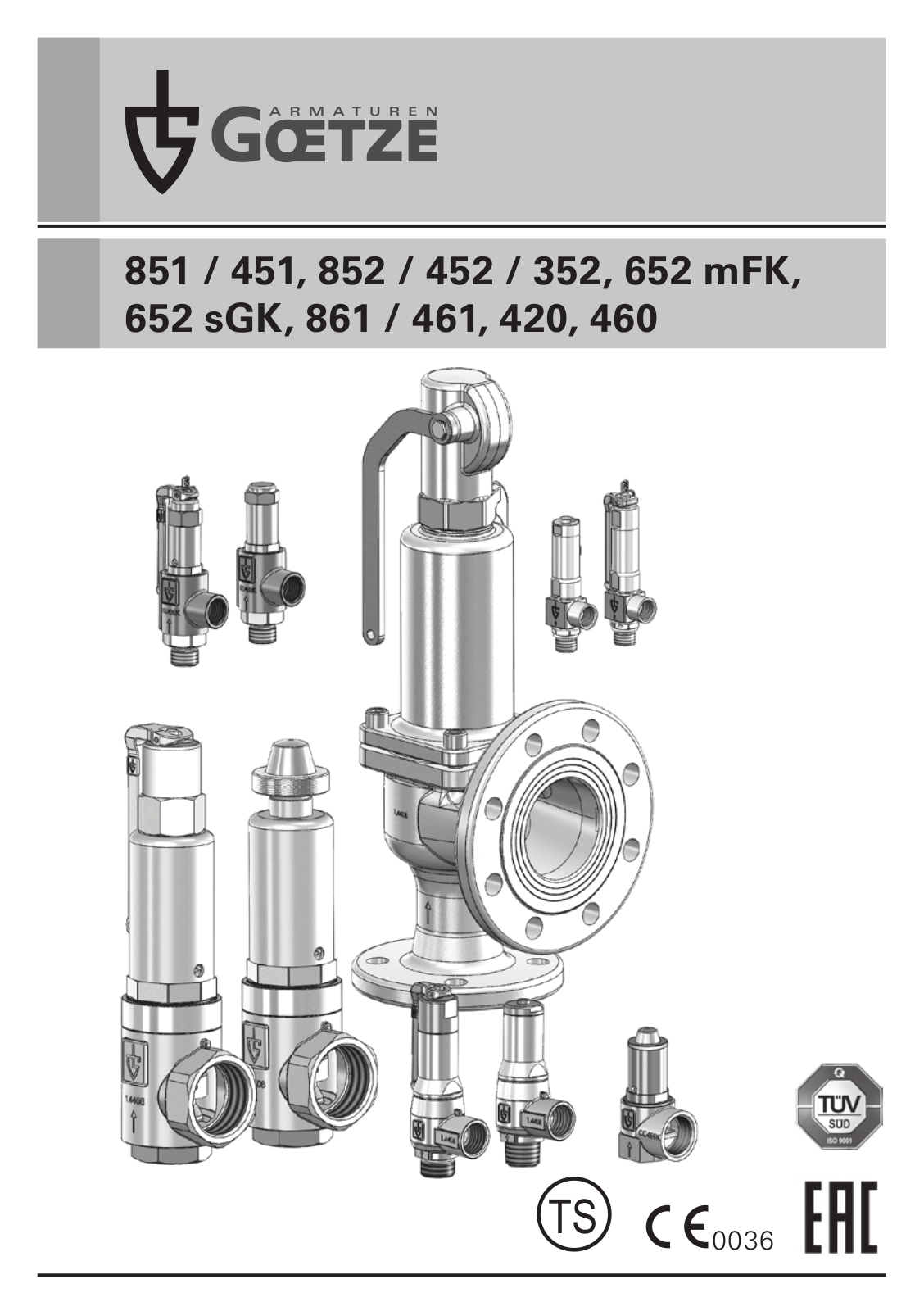 Goetze 851, 852, 352, 452, 652 mFK Assembly Instructions Manual