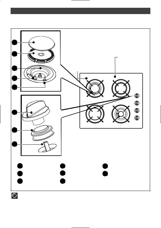 BRANDT TG613WS1 User Manual