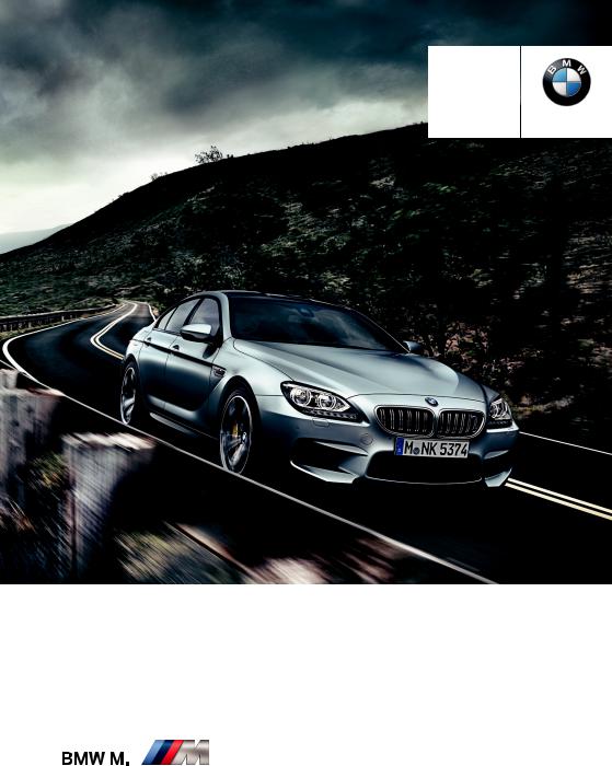 BMW M6 2014 User Manual