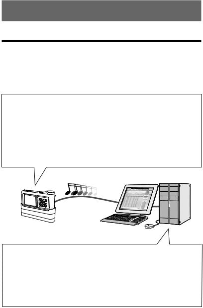 Sony VGF-AP1 Series User Manual