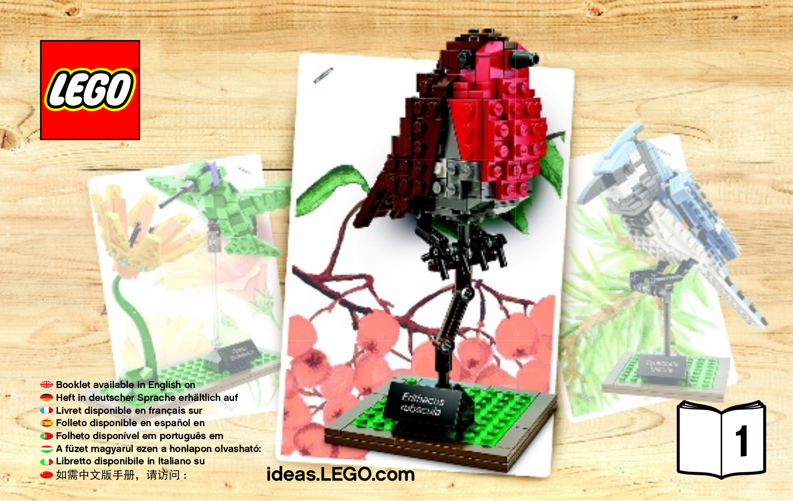 LEGO 21301 Instructions