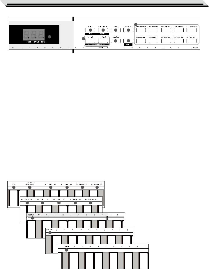 Medeli Dp-420k Owner’s Manual