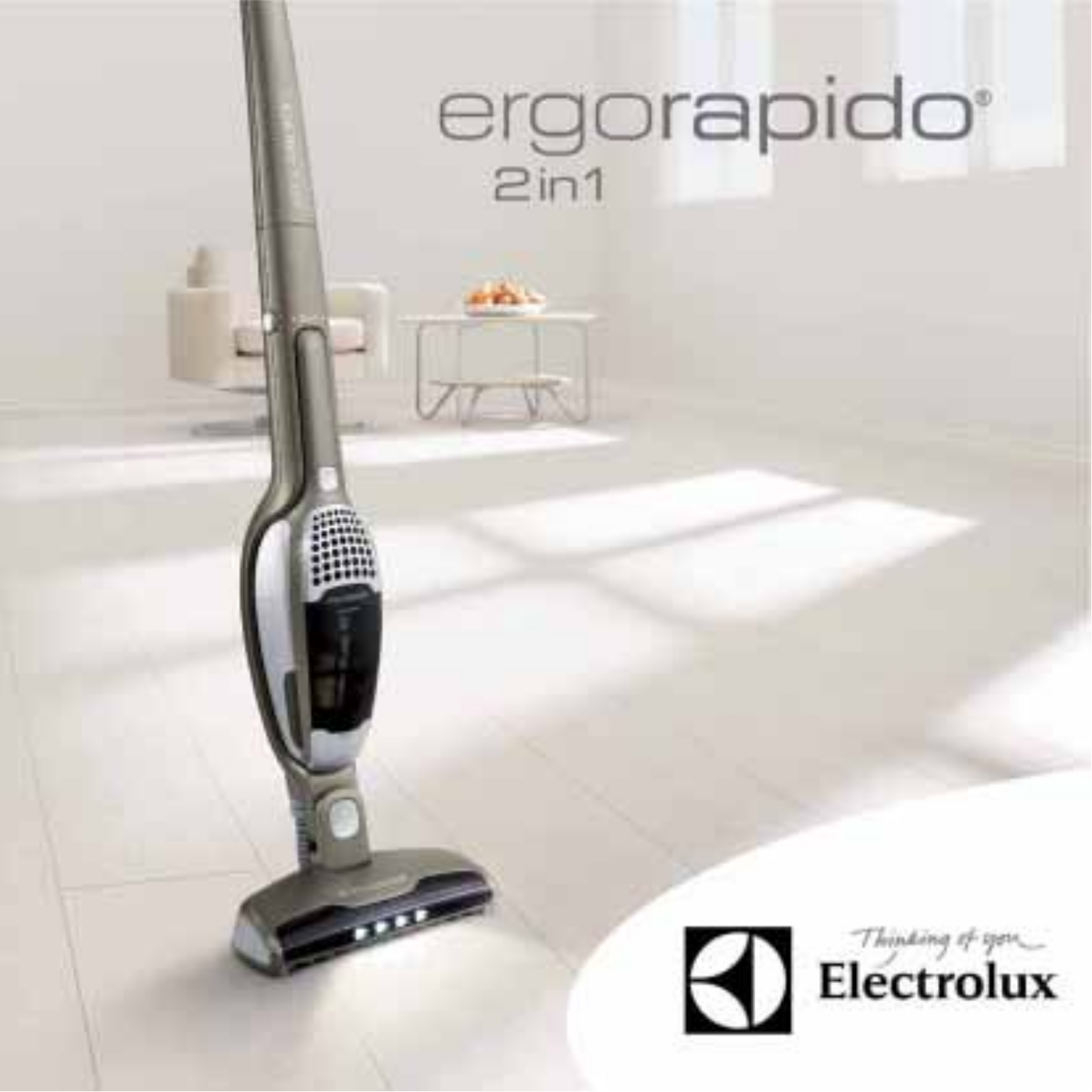 AEG-Electrolux ZB2904X User Manual