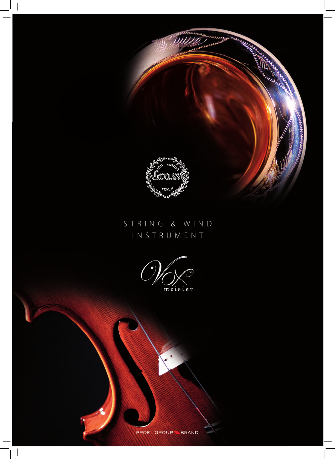 Proel STRING AND WIND User Manual