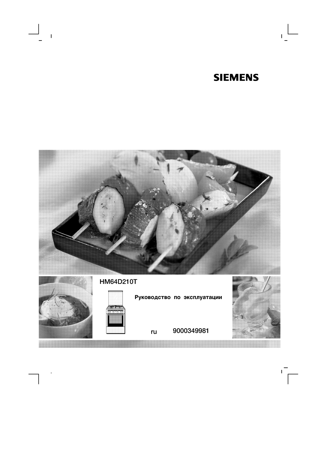 Siemens HM64D210T User Manual