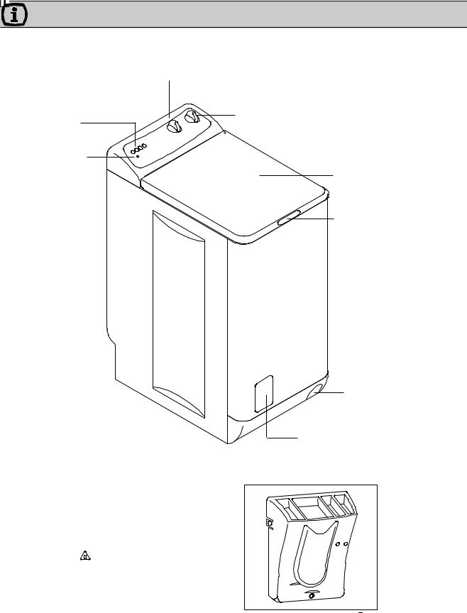 AEG EW976T User Manual