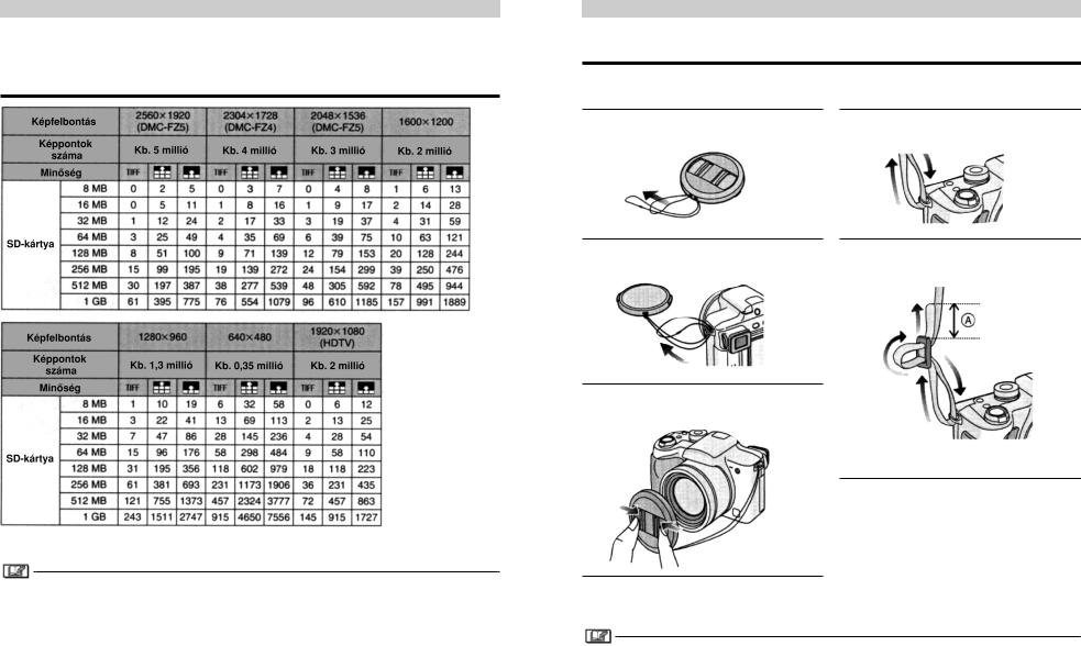 Panasonic LUMIX DMC-FZ5EG, LUMIX DMC-FZ4EG User Manual