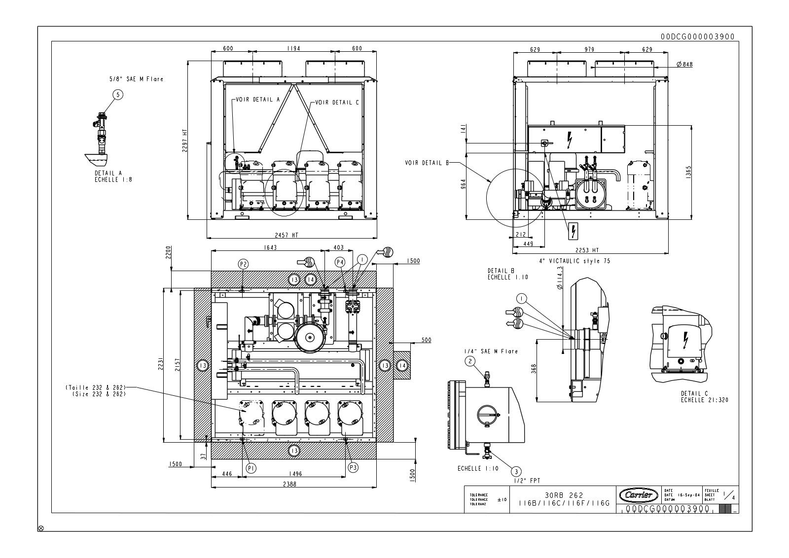 Carrier 00DCG000003900 User Manual